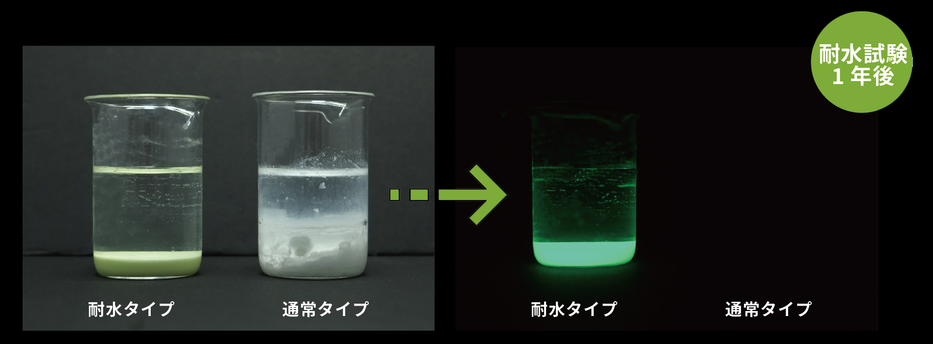 蓄光タイプ